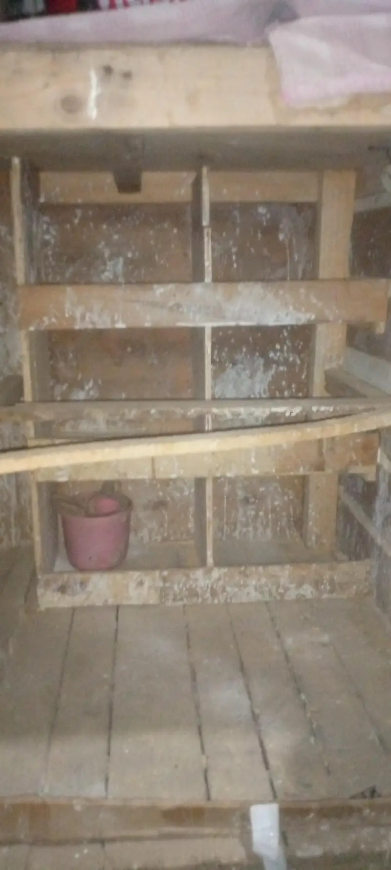 birds cage in very good condition — photo 7