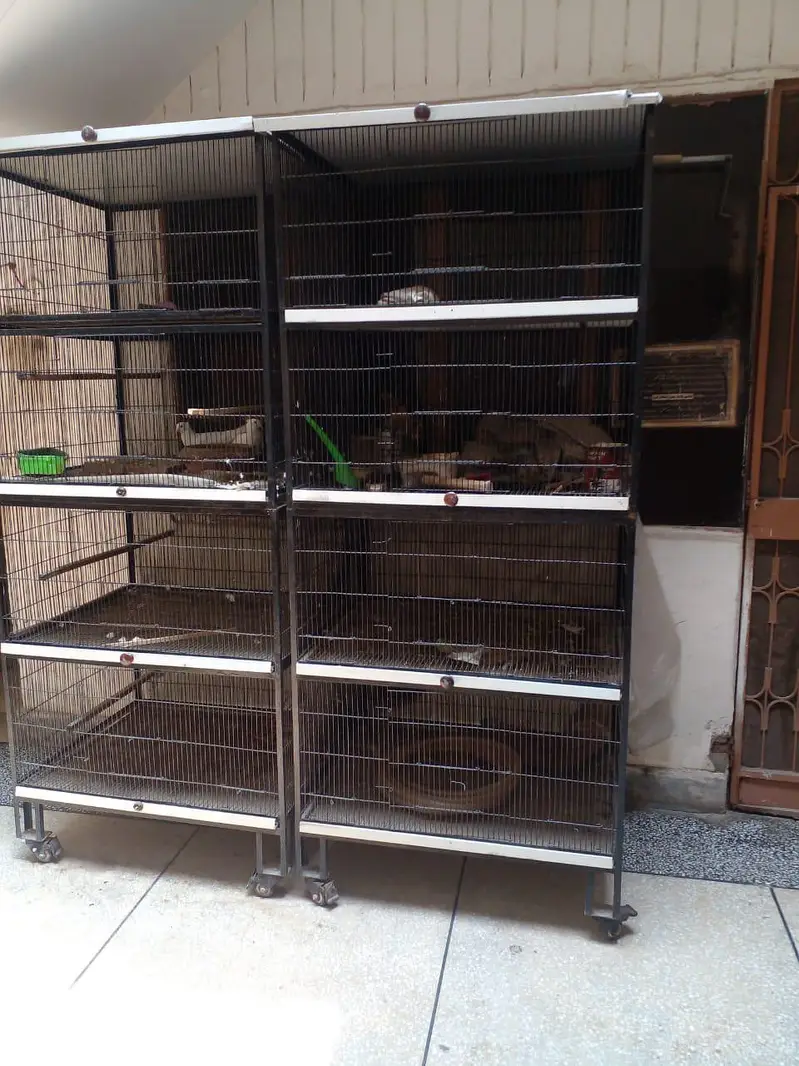 Giant size cages for pigeon — photo 2