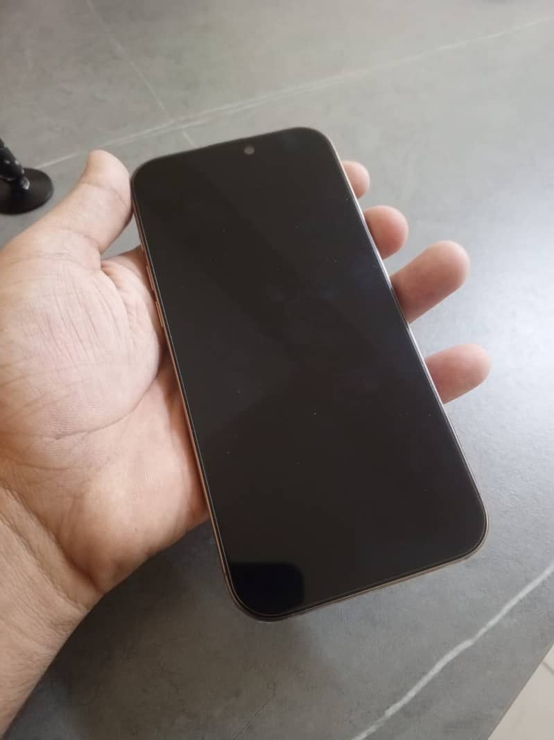 Apple iPhone 16 Pro Max 1