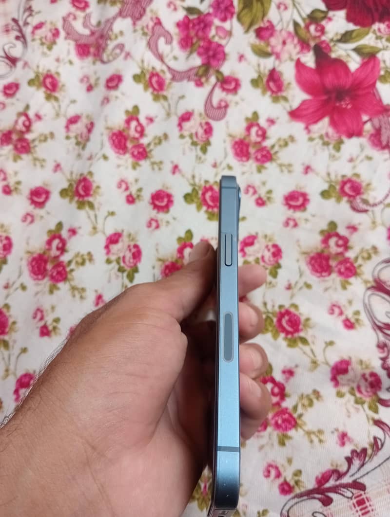 Apple iPhone 13 0