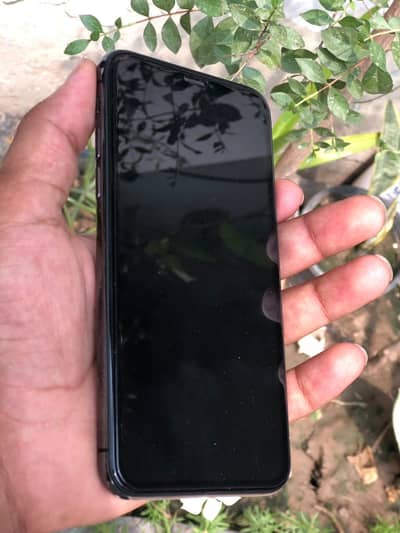 Apple iPhone X