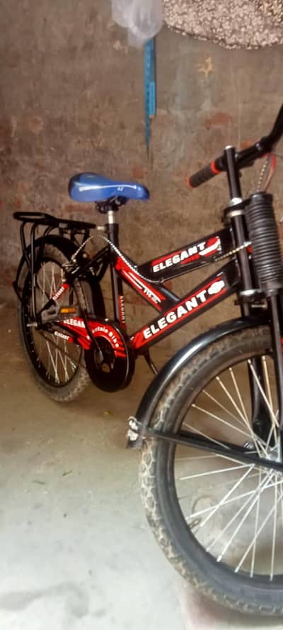 12 Year boy cycle