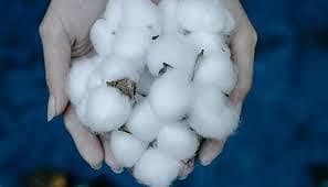 Polyester . Ball fiber . روئی Pasham acrylic .