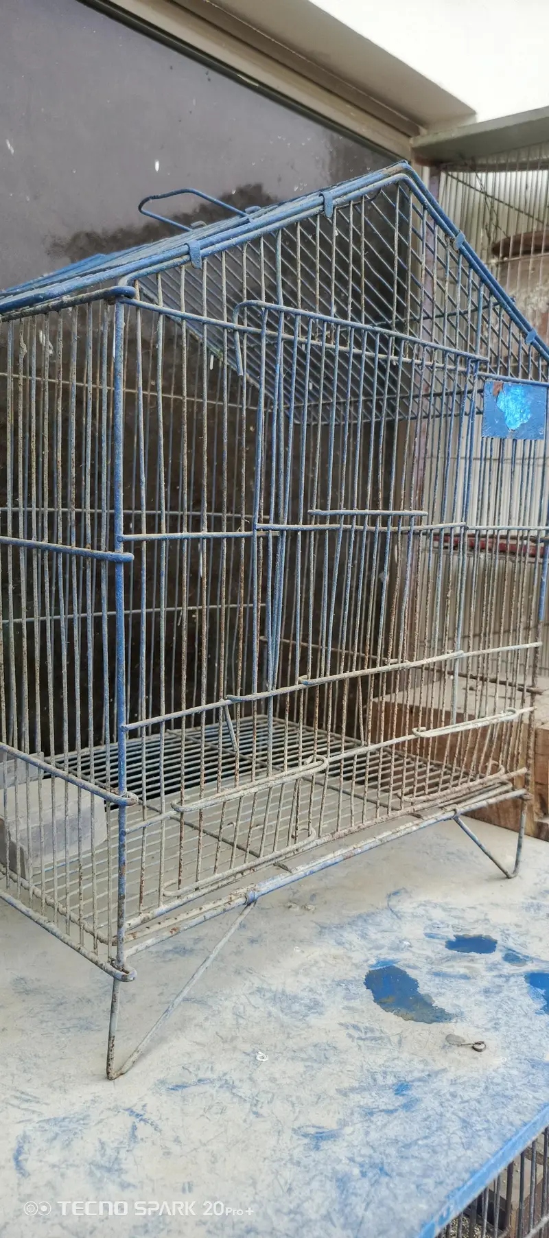 cage sale and green opline pair