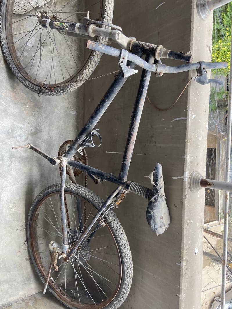 Bicycle 1