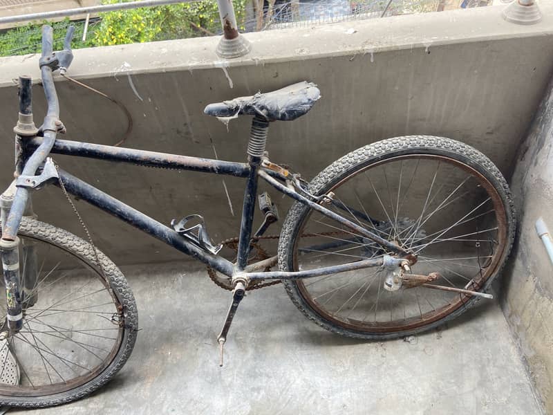 Bicycle 0