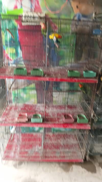 cages for sale