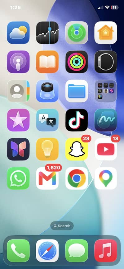 Apple iPhone 11 factory unlock