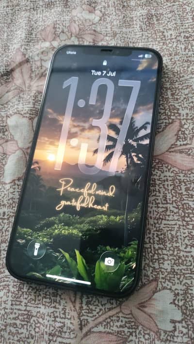 Apple iPhone 12 Pro Max