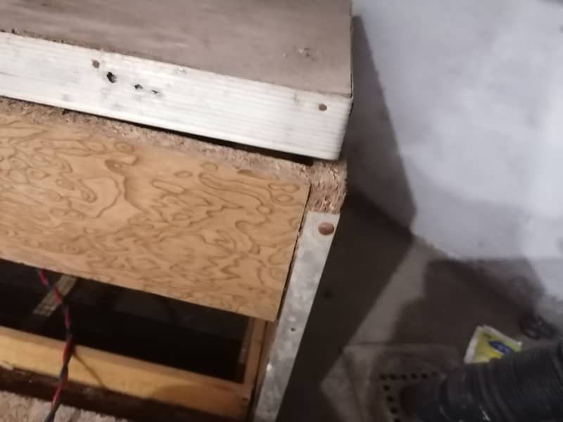 Egg incubator 1