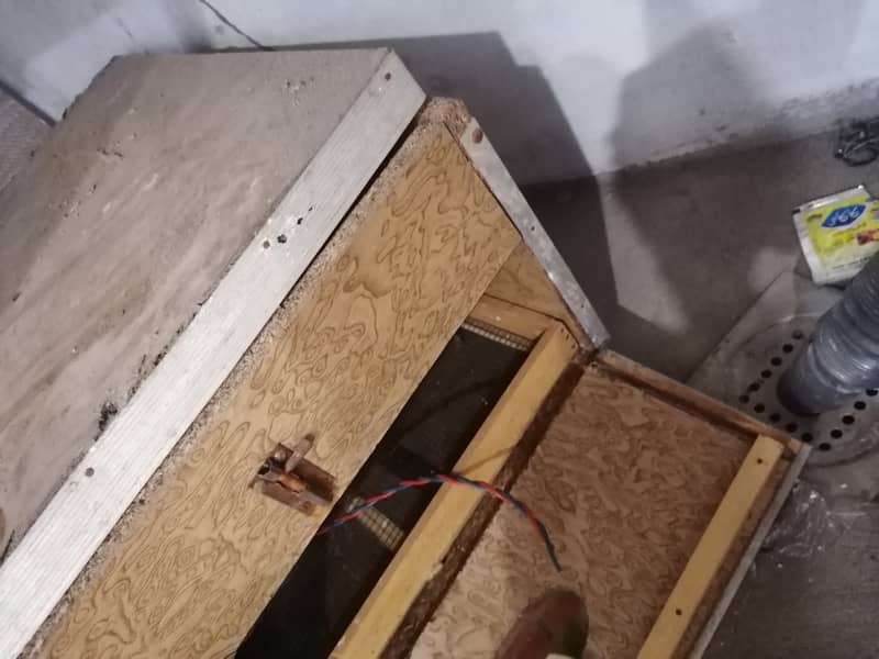 Egg incubator 2