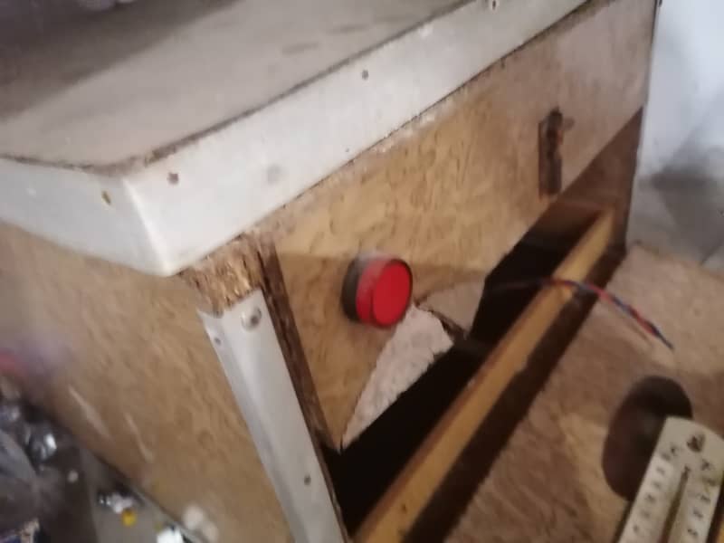 Egg incubator 4
