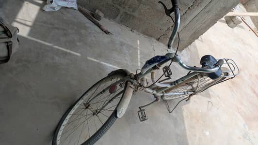 Japanese cycle