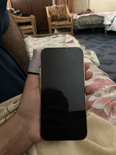 Apple iPhone 13 Pro