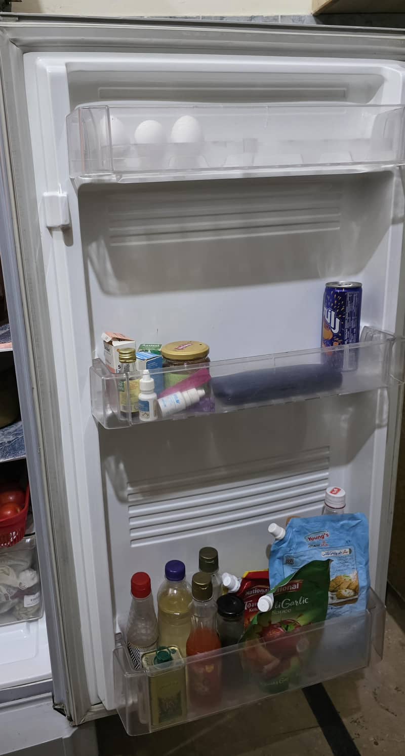 frige 4