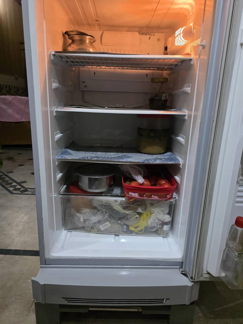 frige 5