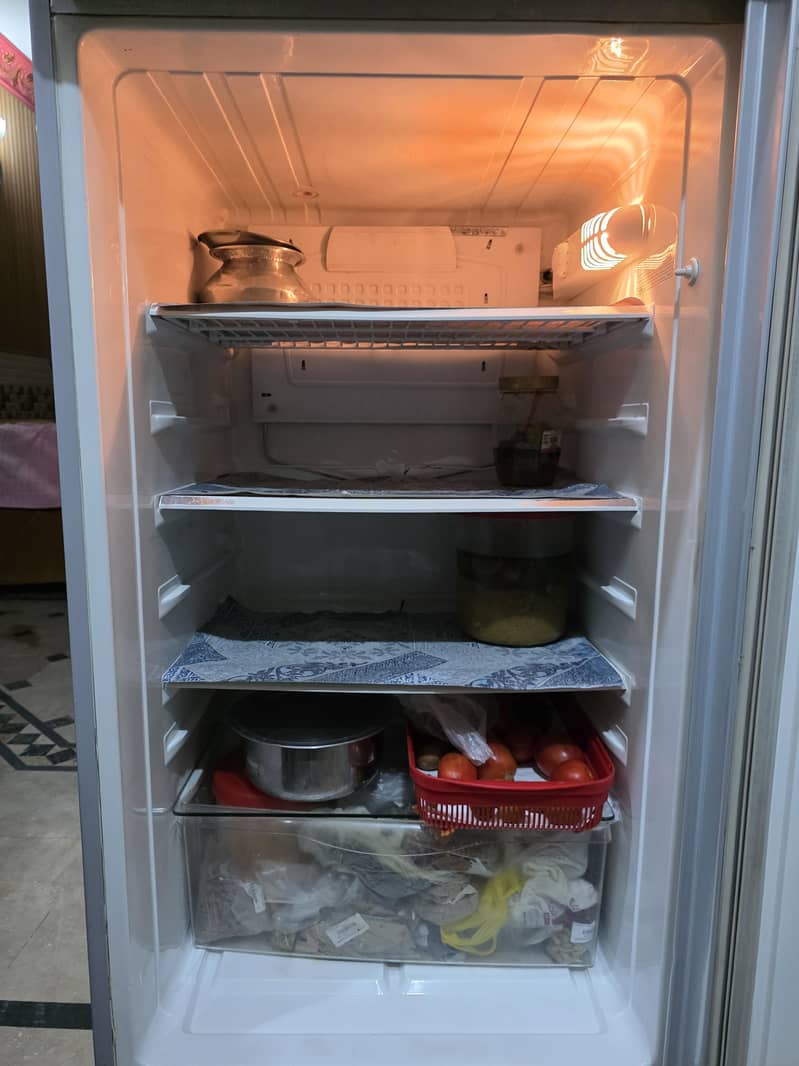 frige 6