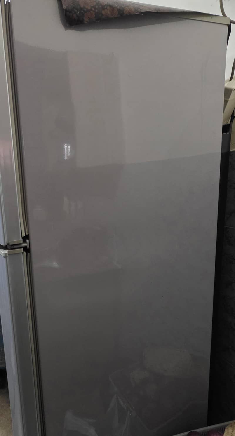 frige 7