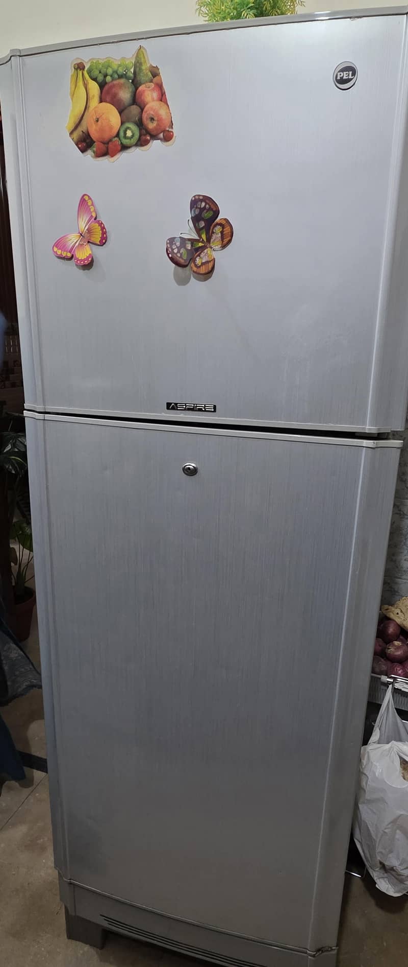 frige 8