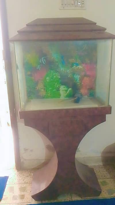 fish aquarium available