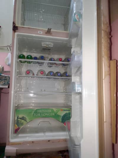 Download freezer