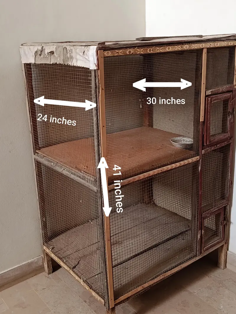 2 portion cage 10/10