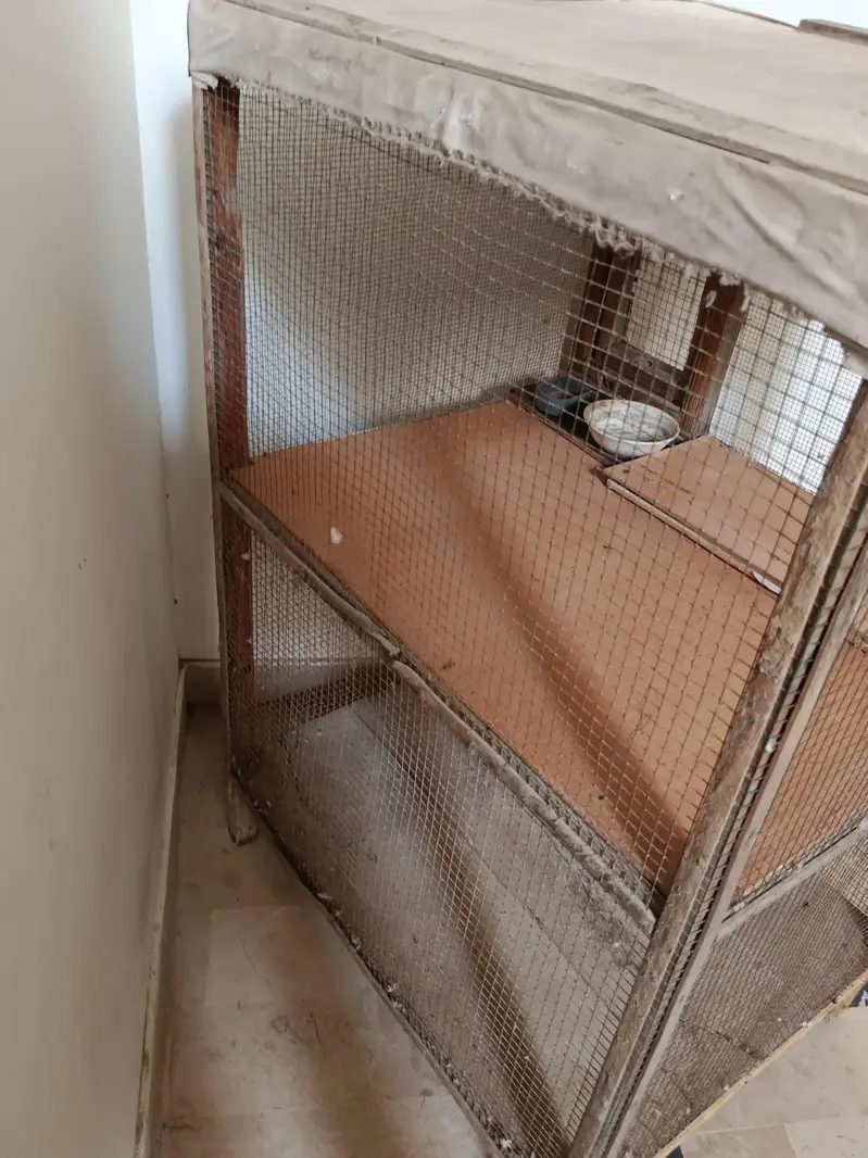 2 portion cage 10/10 — photo 4