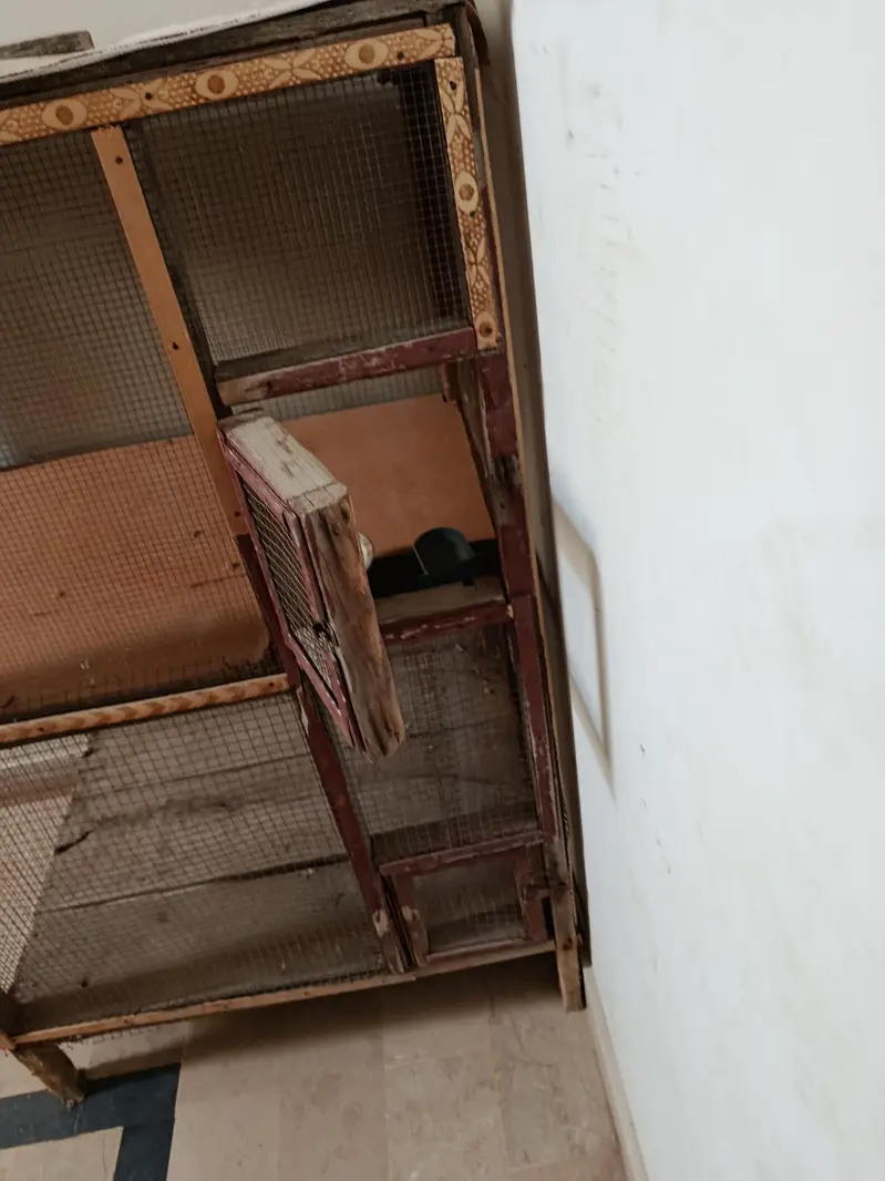 2 portion cage 10/10 — photo 5