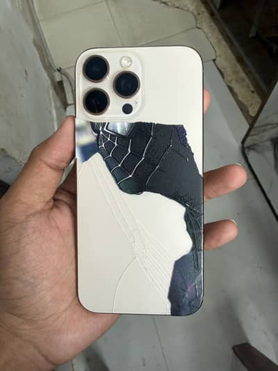 Apple iPhone 16 Pro Max back crack