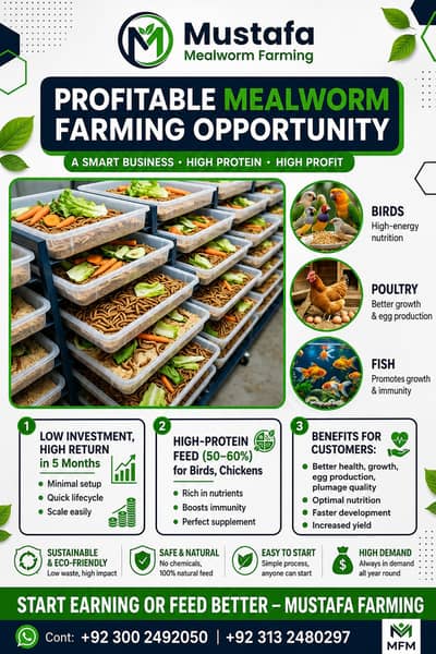 Mealworms for Birds, Fish and Poultry | mealworm | mealworms for sale