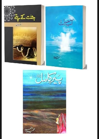 Pack of 3 books Peer e kamil , Jannat ka patty , Aab e Hayat