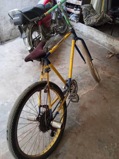 phoenix cycle