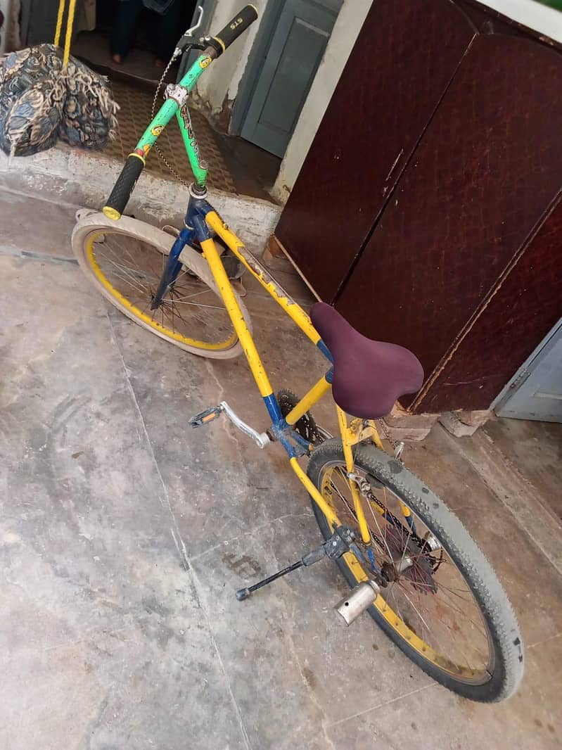 phoenix cycle 1