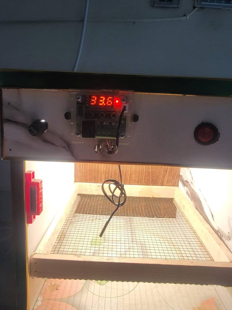 Incubator egg 1