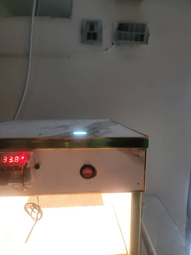 Incubator egg 2