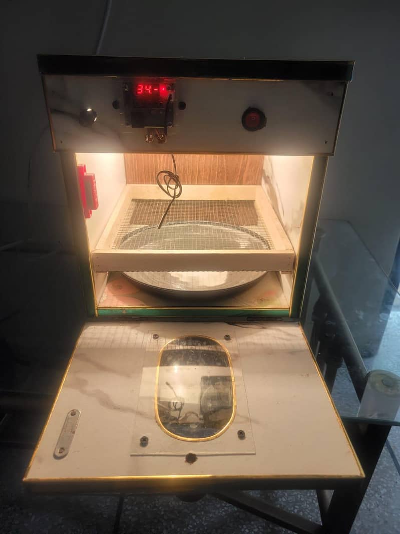 Incubator egg 3