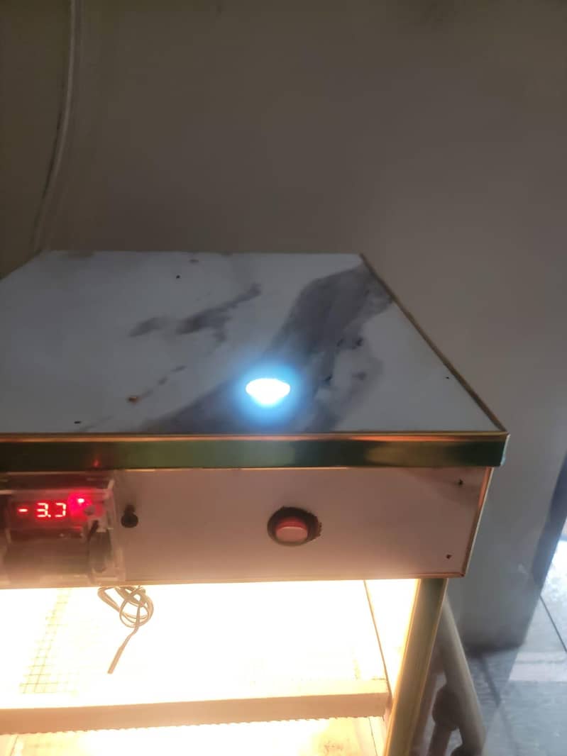 Incubator egg 4