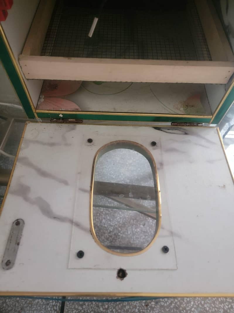 Incubator egg 9