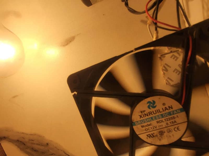Incubator egg 12