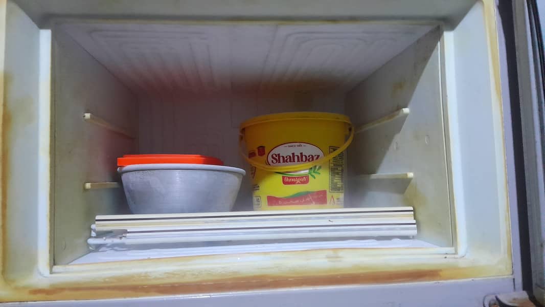 Fridge 1