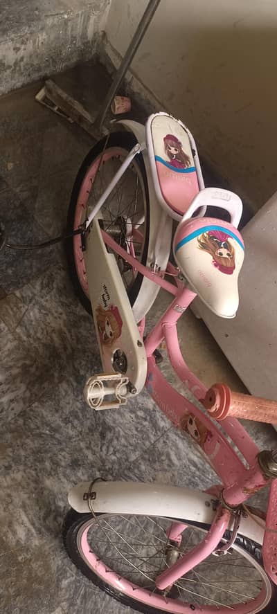 baby cycle