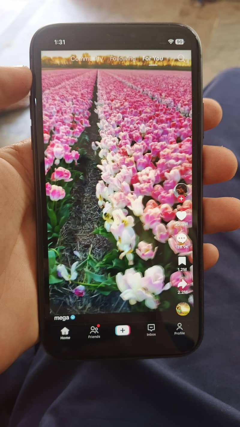 Apple iPhone 11 6