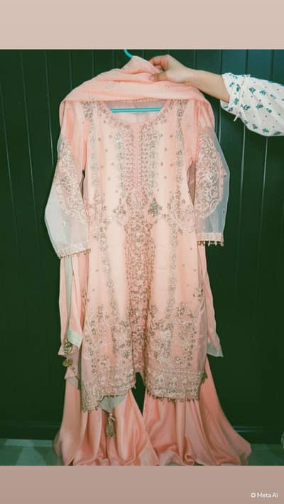 THIS IS A NEW DRESS ONLY 1 TIME USE FOR 3 TO 4 HOURS.