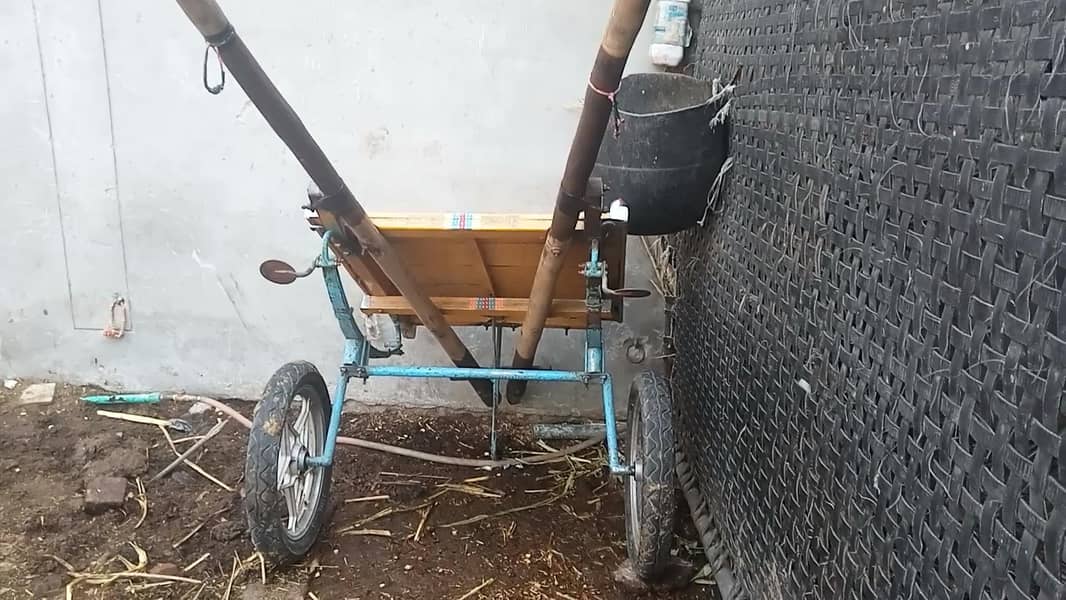 Cycle phiri 1