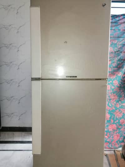 Large Size PEL Fridge for Sale