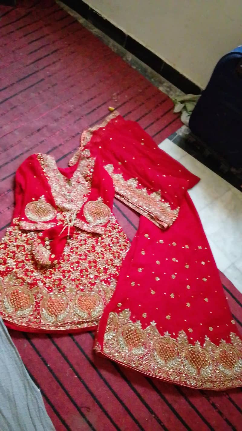 Lehnga 3
