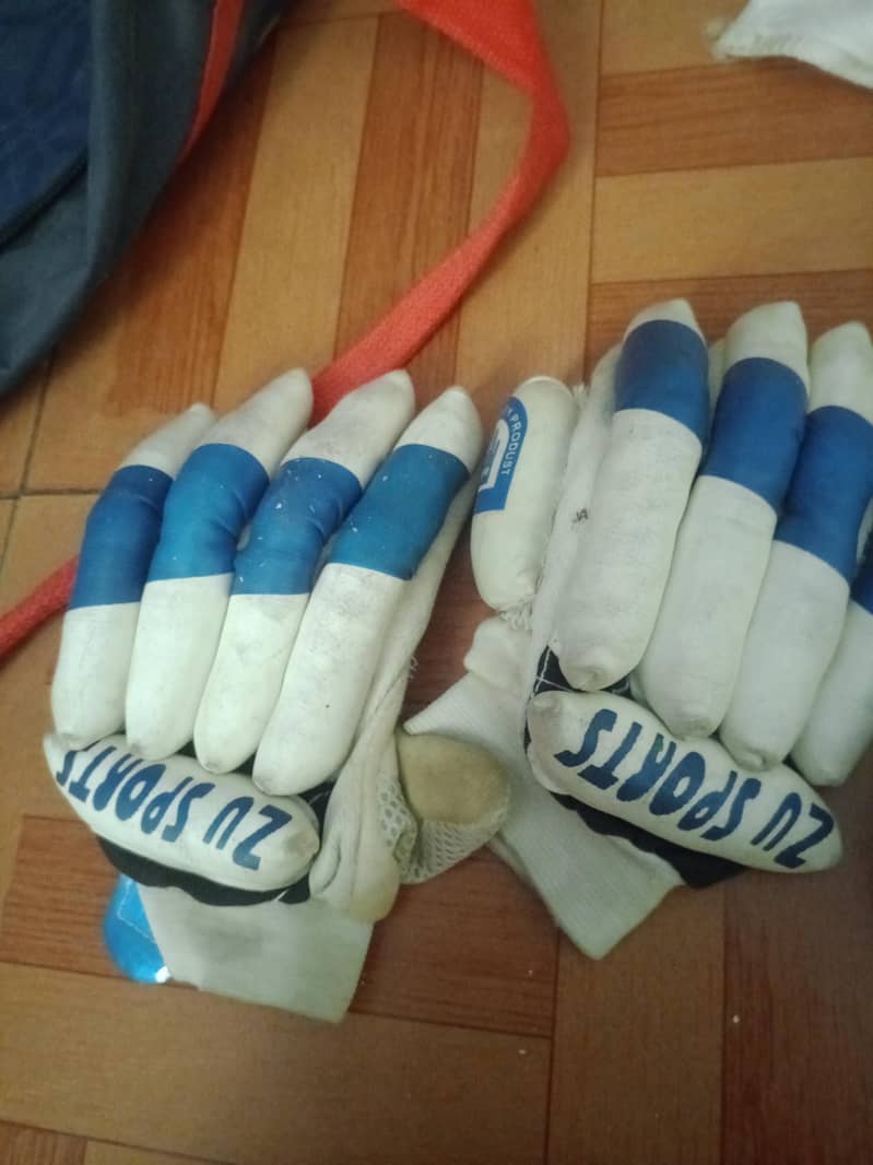 Cricket kit 3