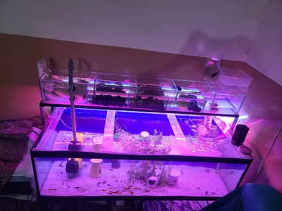 big aquarium complete