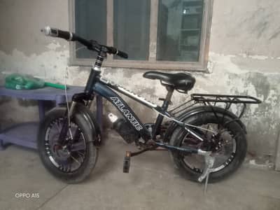 Atlantic Bicycle for Sale – Excellent Condition