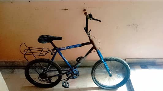 Phoenix Cycle 